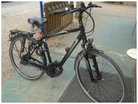 Bilder unserer Bikes