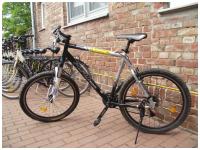 Bilder unserer Bikes
