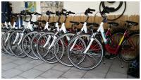 Bilder unserer Bikes