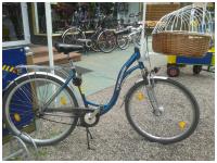 Bilder unserer Bikes